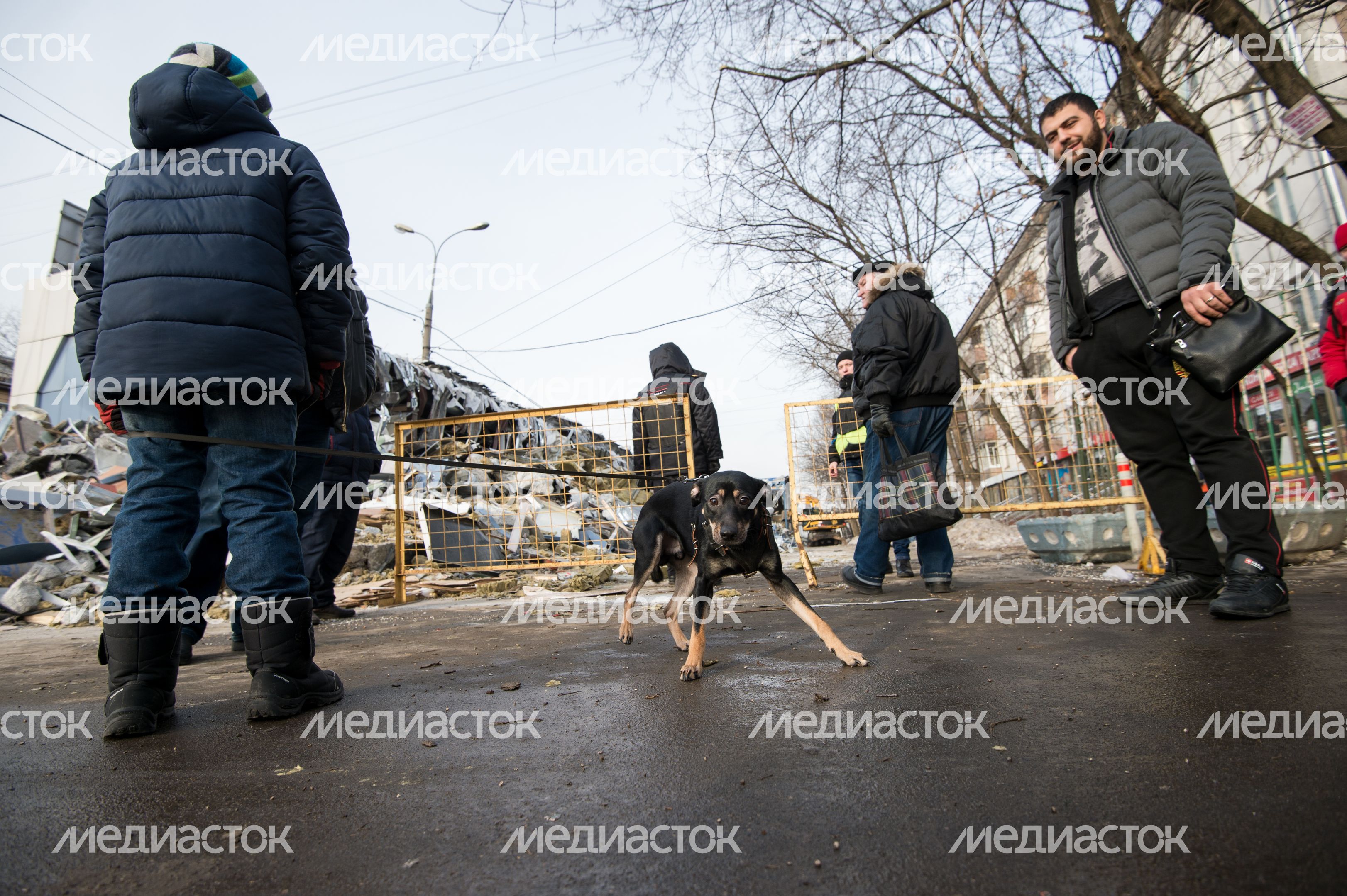 Снос самостроя у станции метро Щелковская в Москве