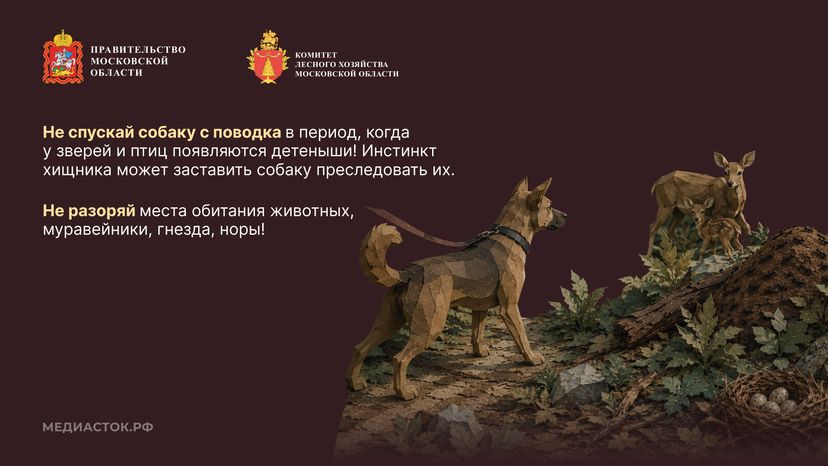 Пребывание граждан в лесах Горизонталь 07