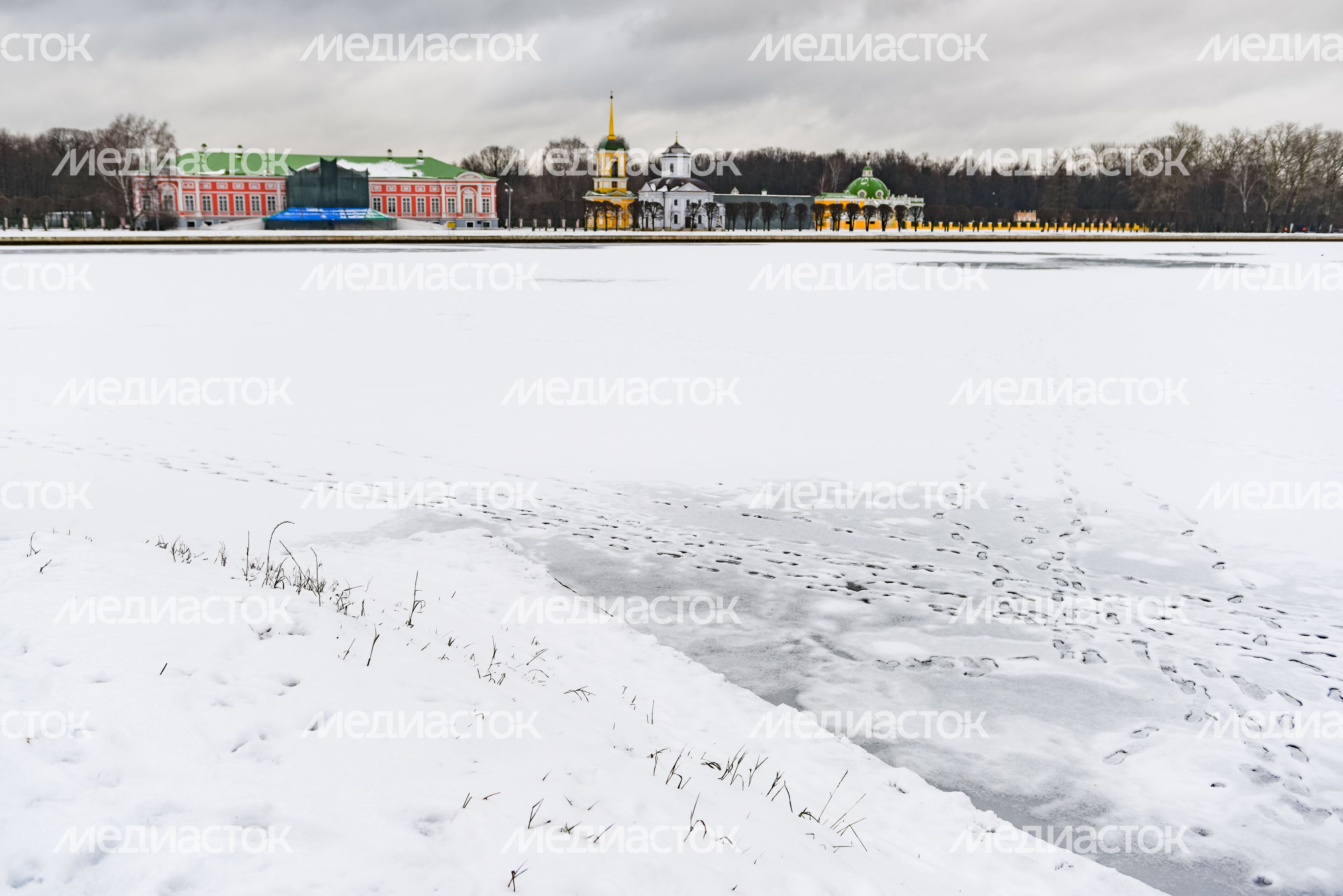 Лесопарк «Кусково»