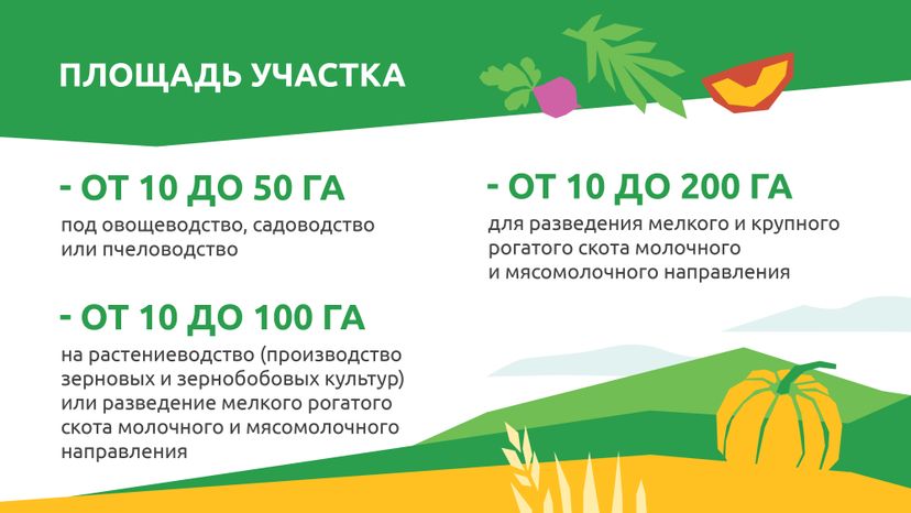  Подмосковные 10 гектаров