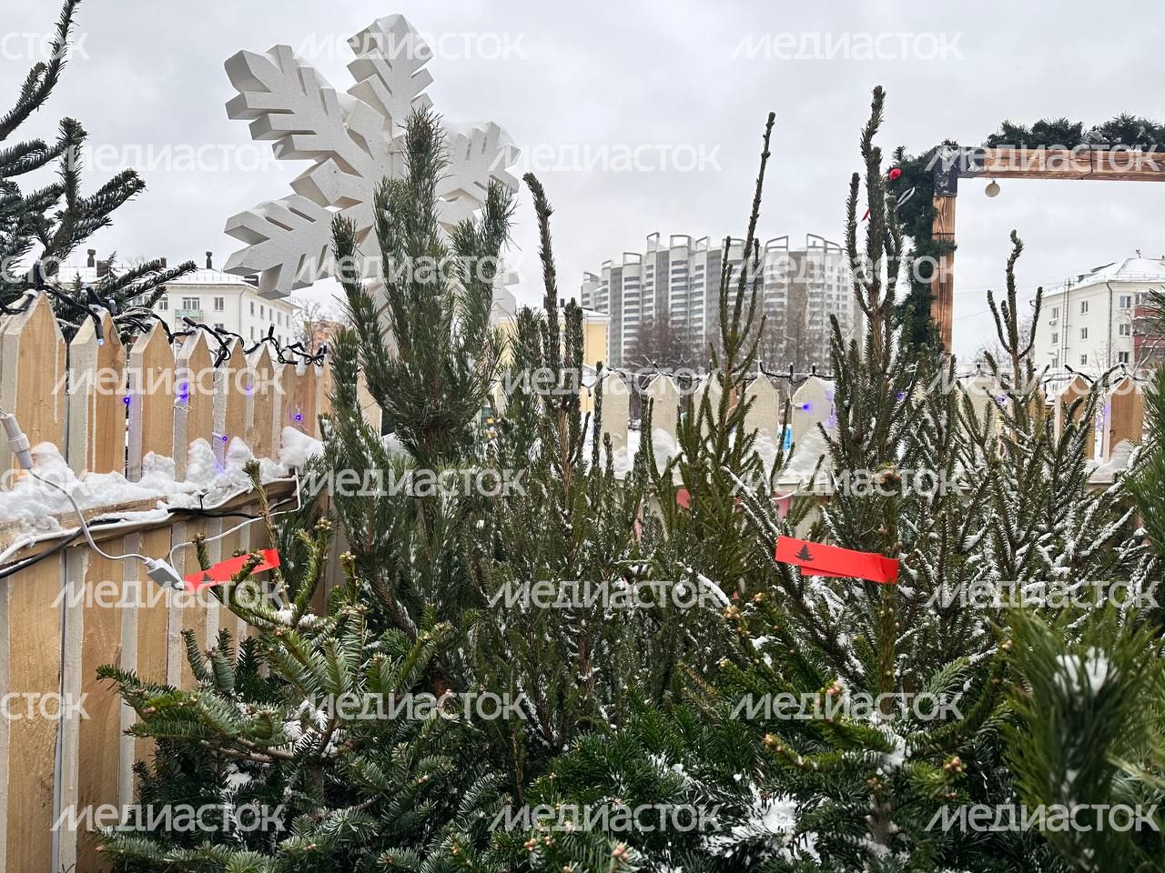 IMAGE 2023-12-15 14:54:11