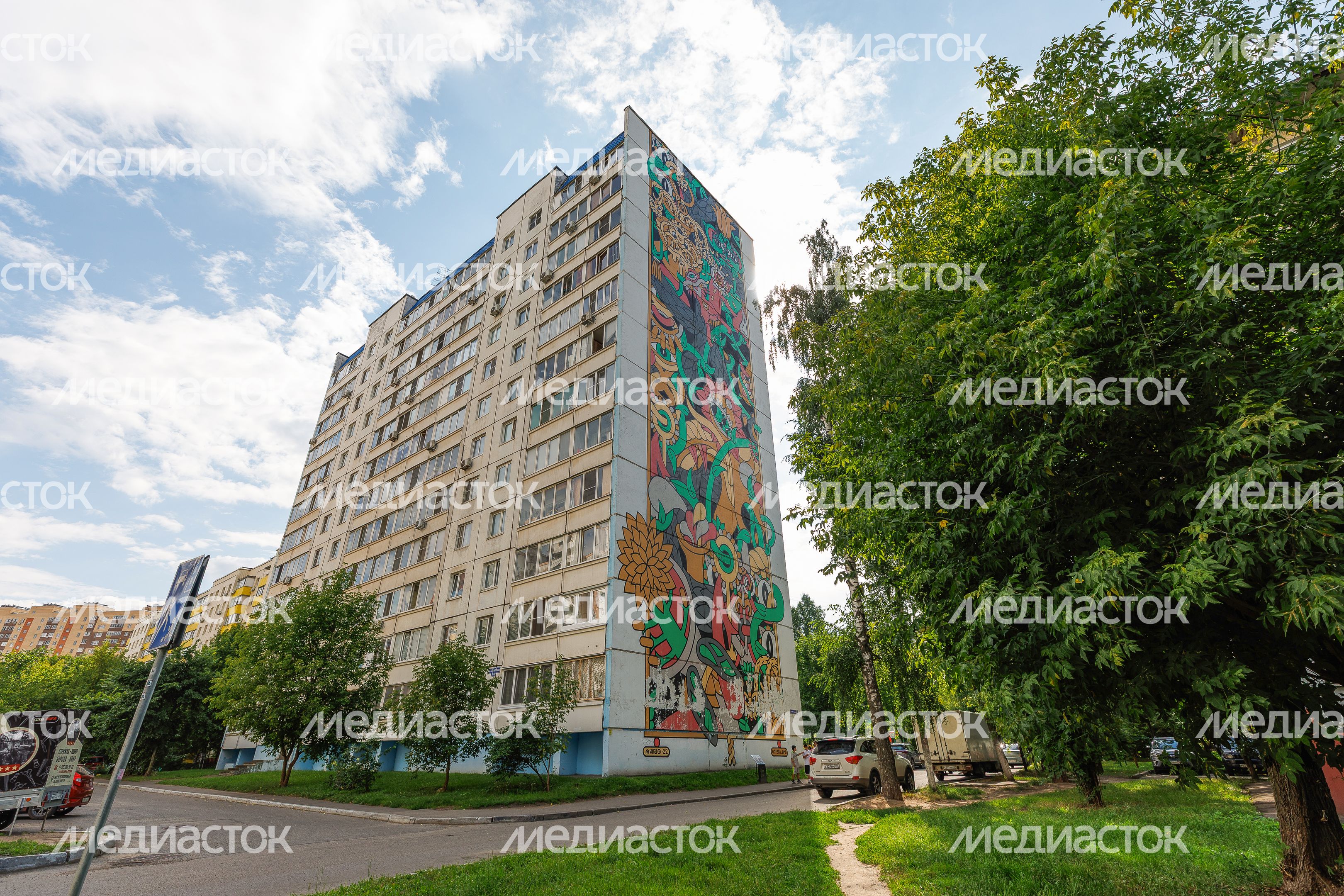 Муралы в Железнодорожном, Балашиха