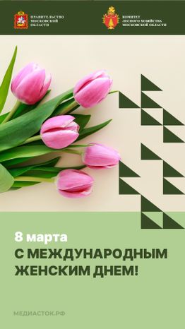 8 марта вертикаль 02
