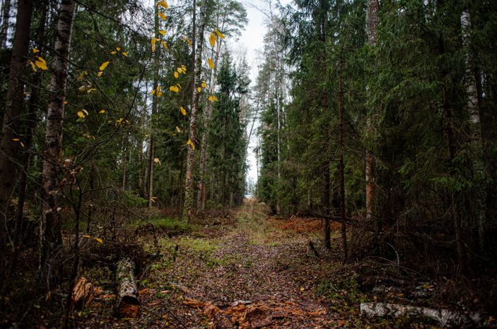 Осенние виды природного заказника Арюшина Гора