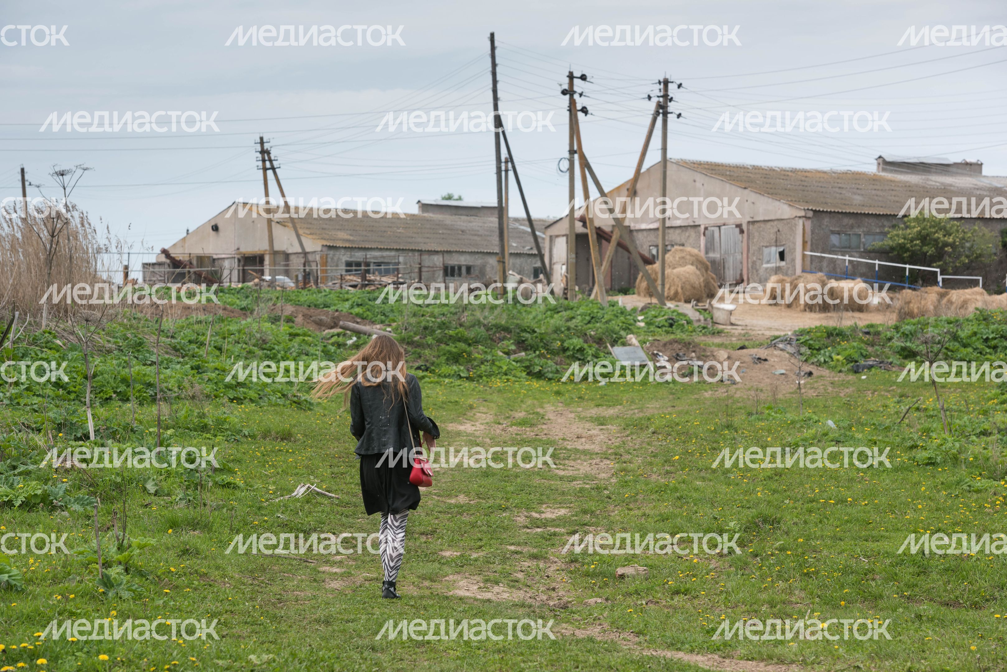 Конюшня-приют «Шанс на жизнь» в Клинском районе Подмосковья