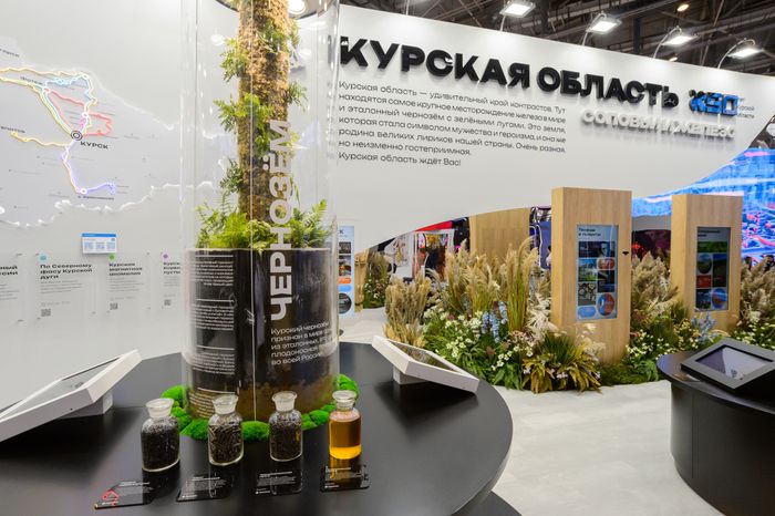Москва. Выставка «Россия»