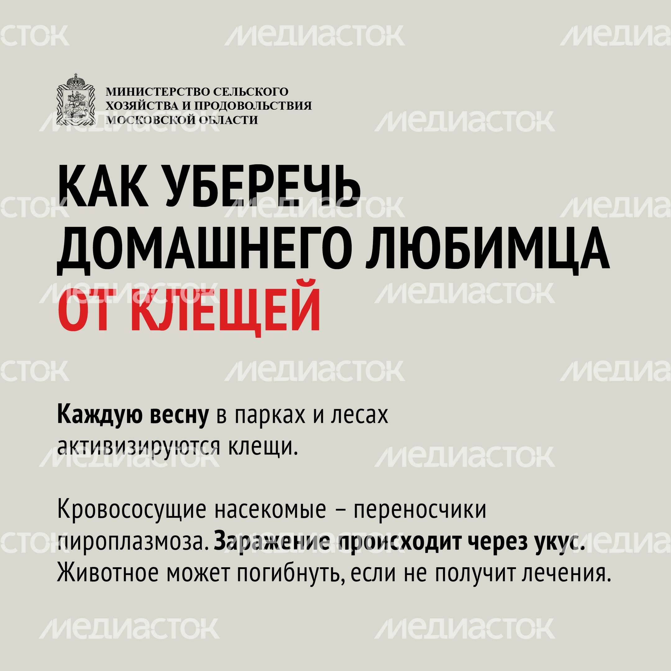 Клещи-11.jpg