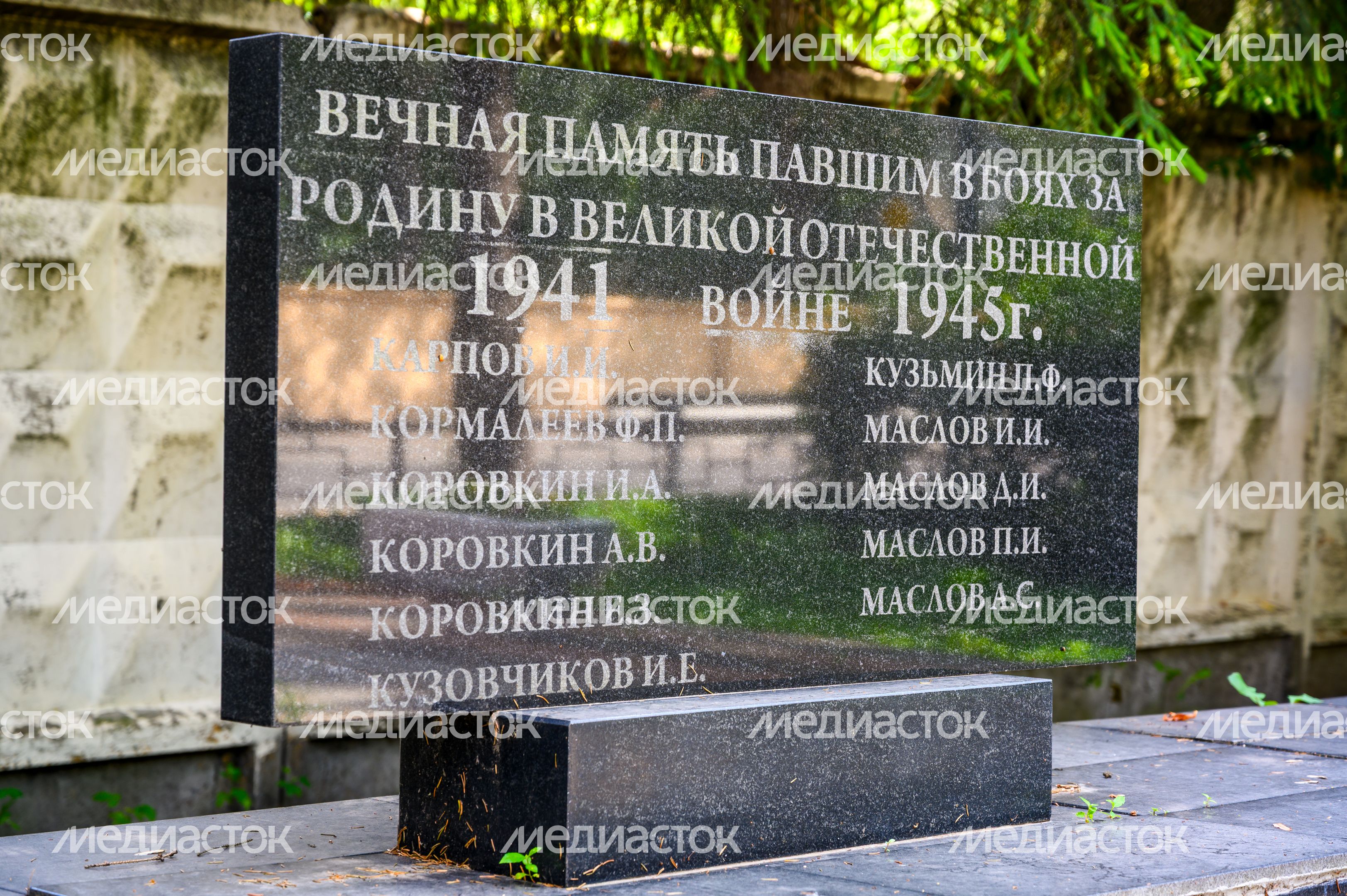 Стела памяти павших воинов в поселке Вешки округа Мытищи Стела памяти павших воинов в поселке Вешки округа Мытищи