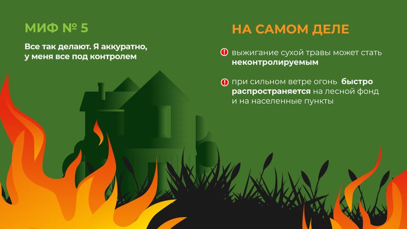 пал_гор_6.jpg