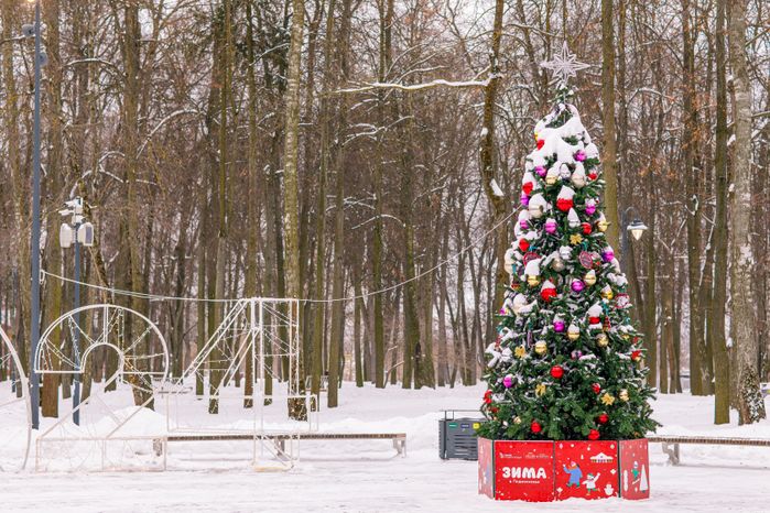 Воскресенск. Усадьба Кривякино. Зима