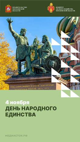 День народного единства вертикаль 01