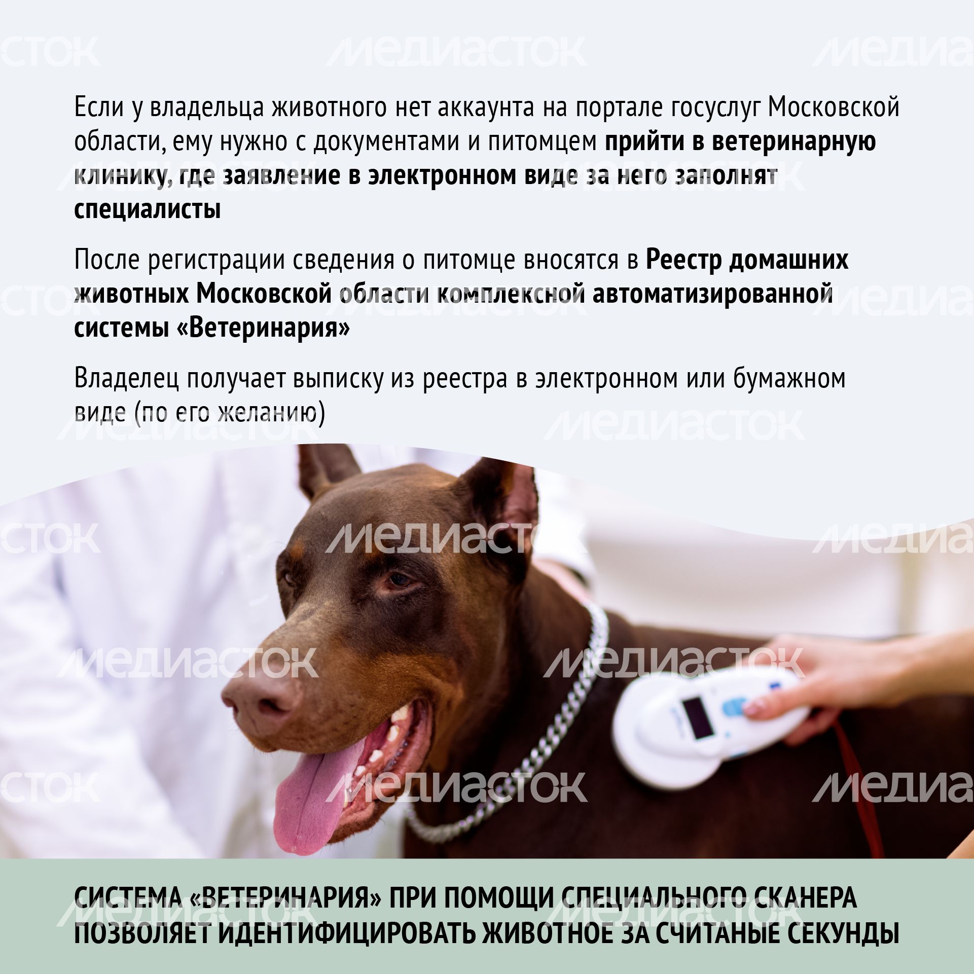 Зарегистрировать домашнее животное ред 2-квадрат-08.png Зарегистрировать домашнее животное ред 2-квадрат-08.png