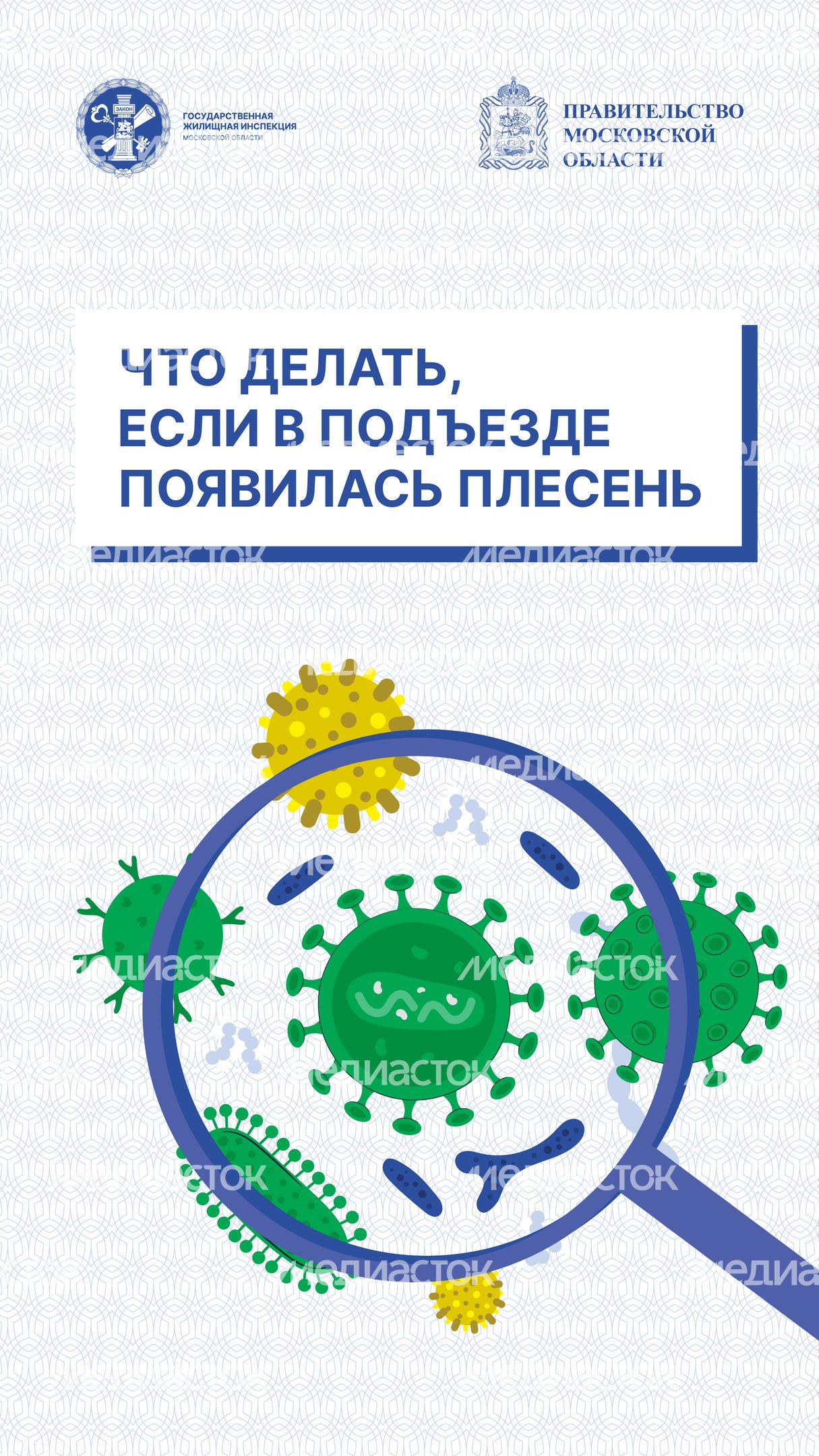 Вертикаль Плесень 01.jpg
