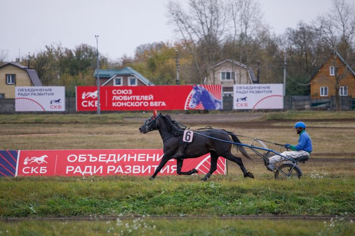 Раменское. Финал Чемпионата наездников