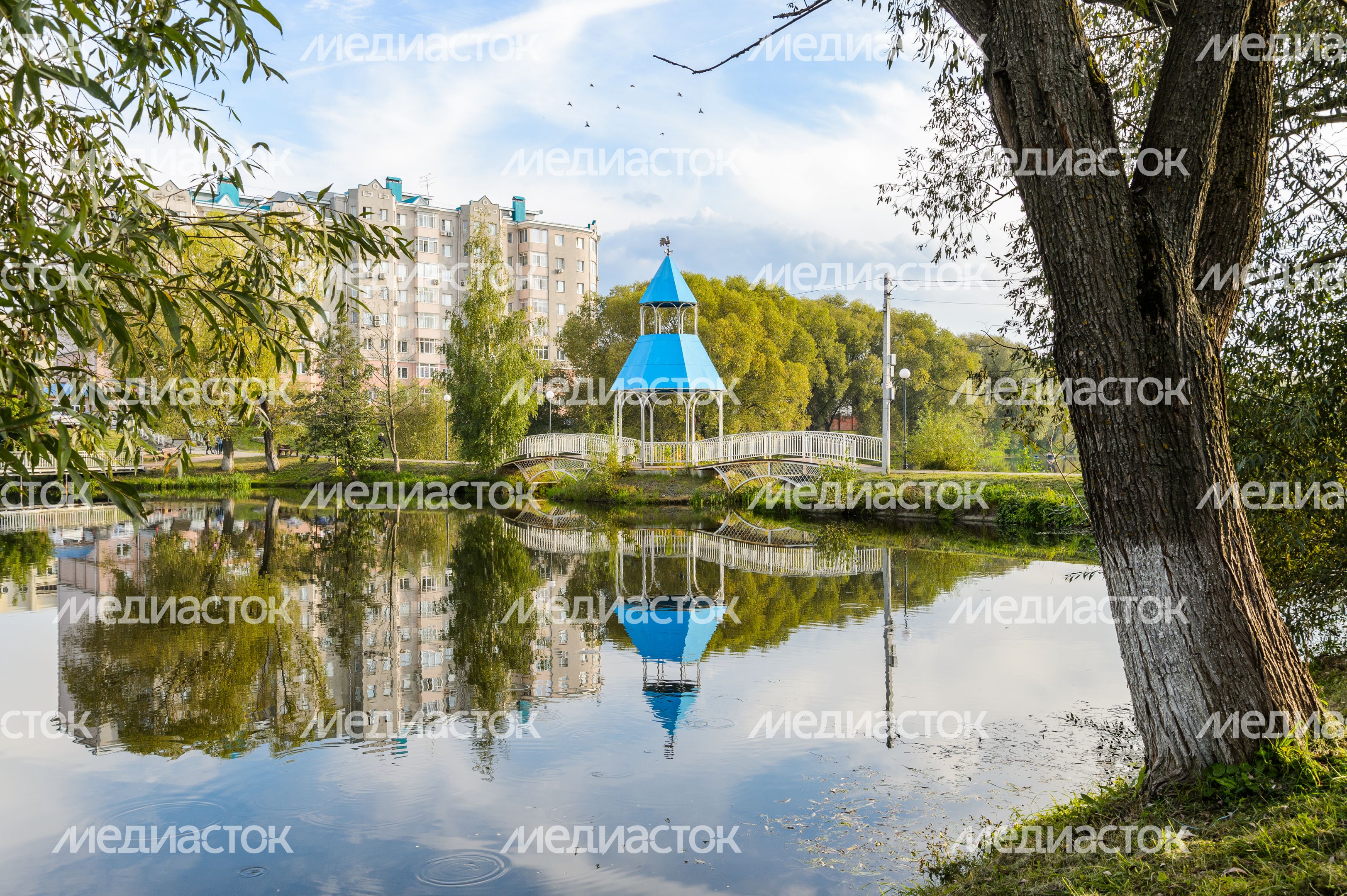 Бронницы. Кожурновский пруд