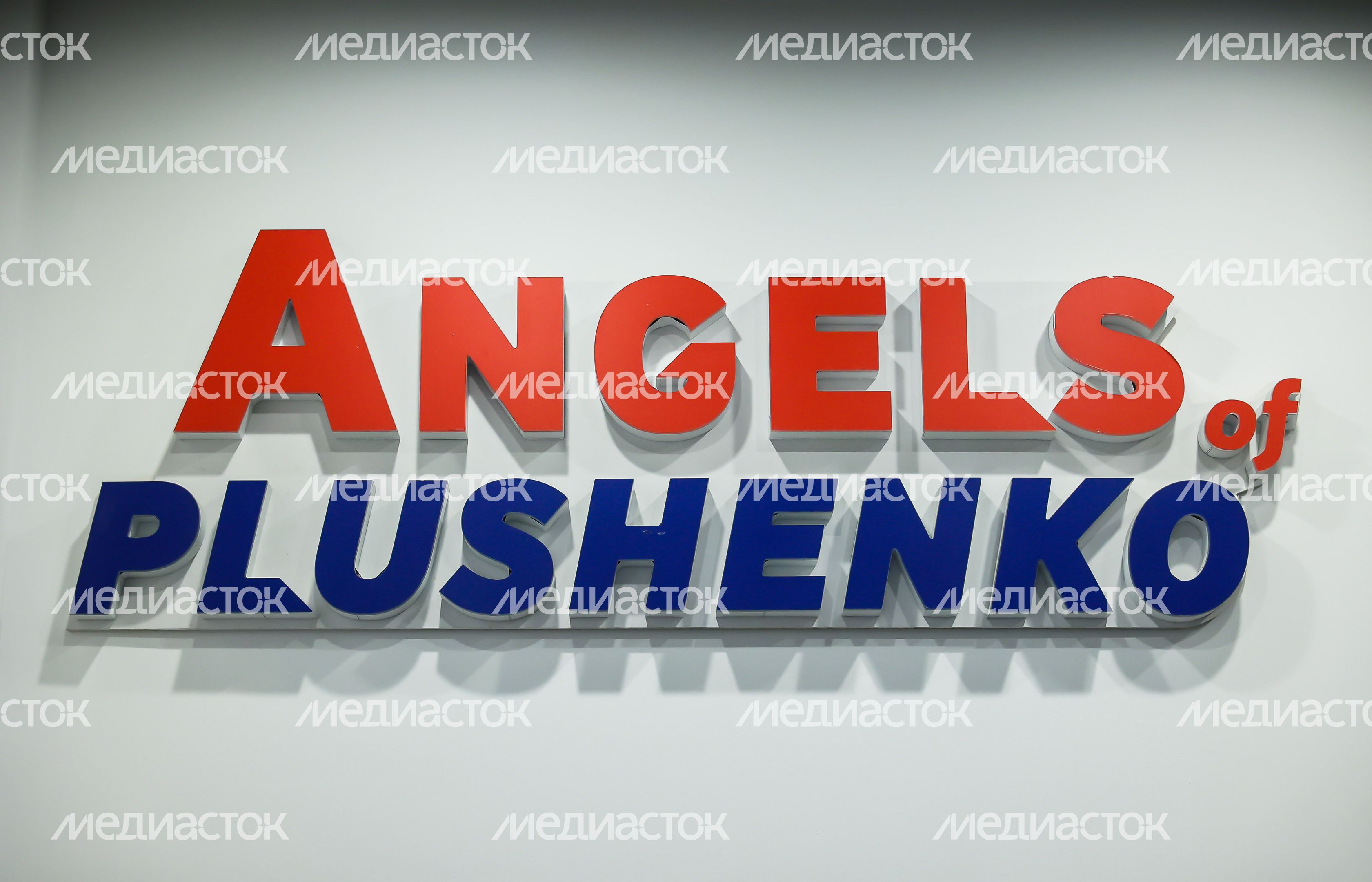 Академия «Ангелы Плющенко»