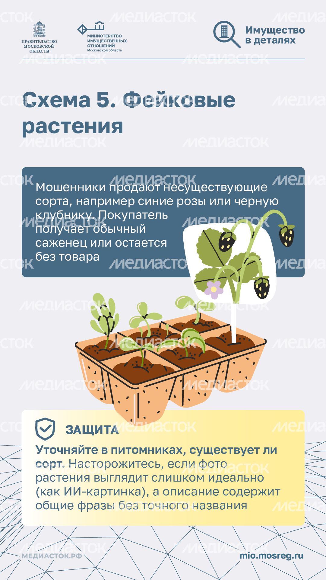 6 схем обмана дачников вертикаль 06 6 схем обмана дачников вертикаль 06