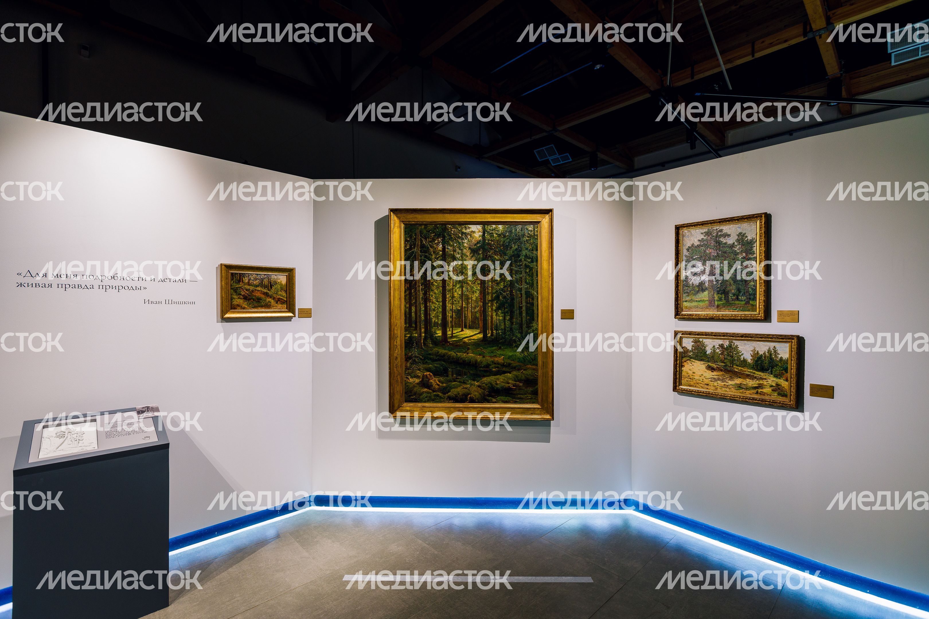 Крупнейшая выставка работ художника Ивана Шишкина в Звенигороде