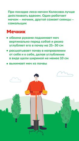 Вертикаль_ меч Колесова_03-100.jpg