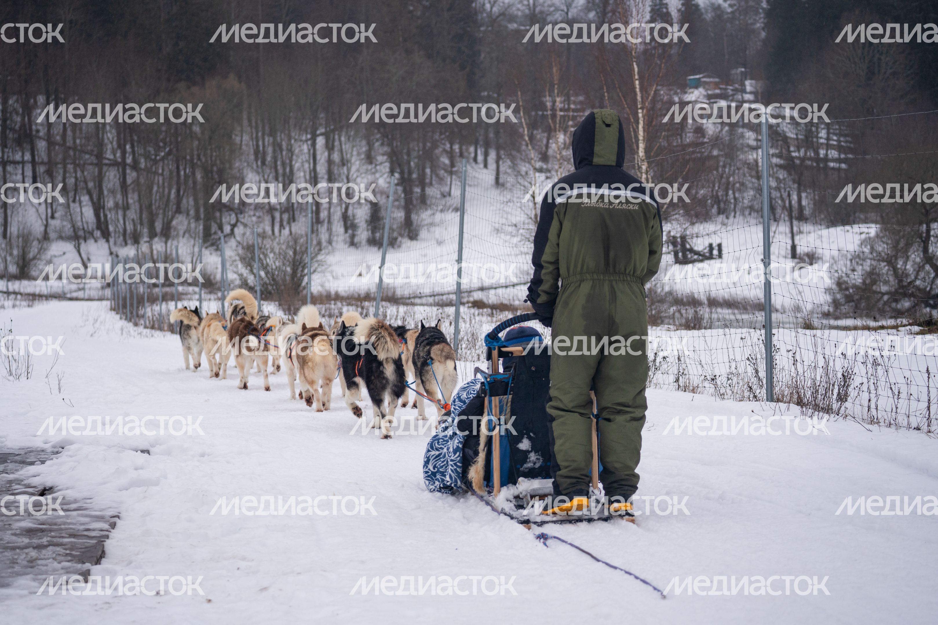 Хаски-деревня "Рузская Аляска" в Рузском округе Хаски-деревня "Рузская Аляска" в Рузском округе