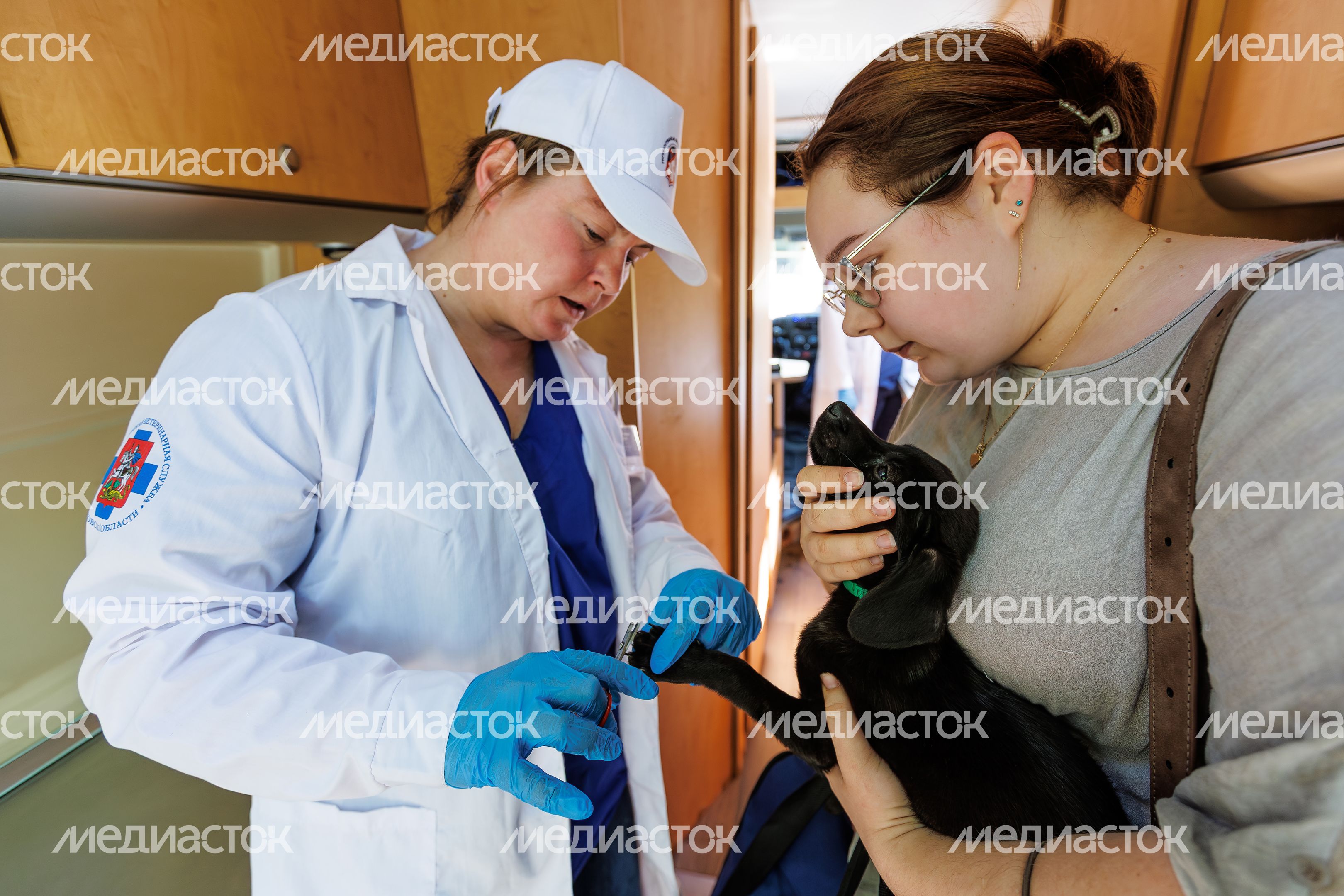 Выездная вакцинация, регистрация и чипирование домашних животных в Звенигородском парке Одинцовского округа