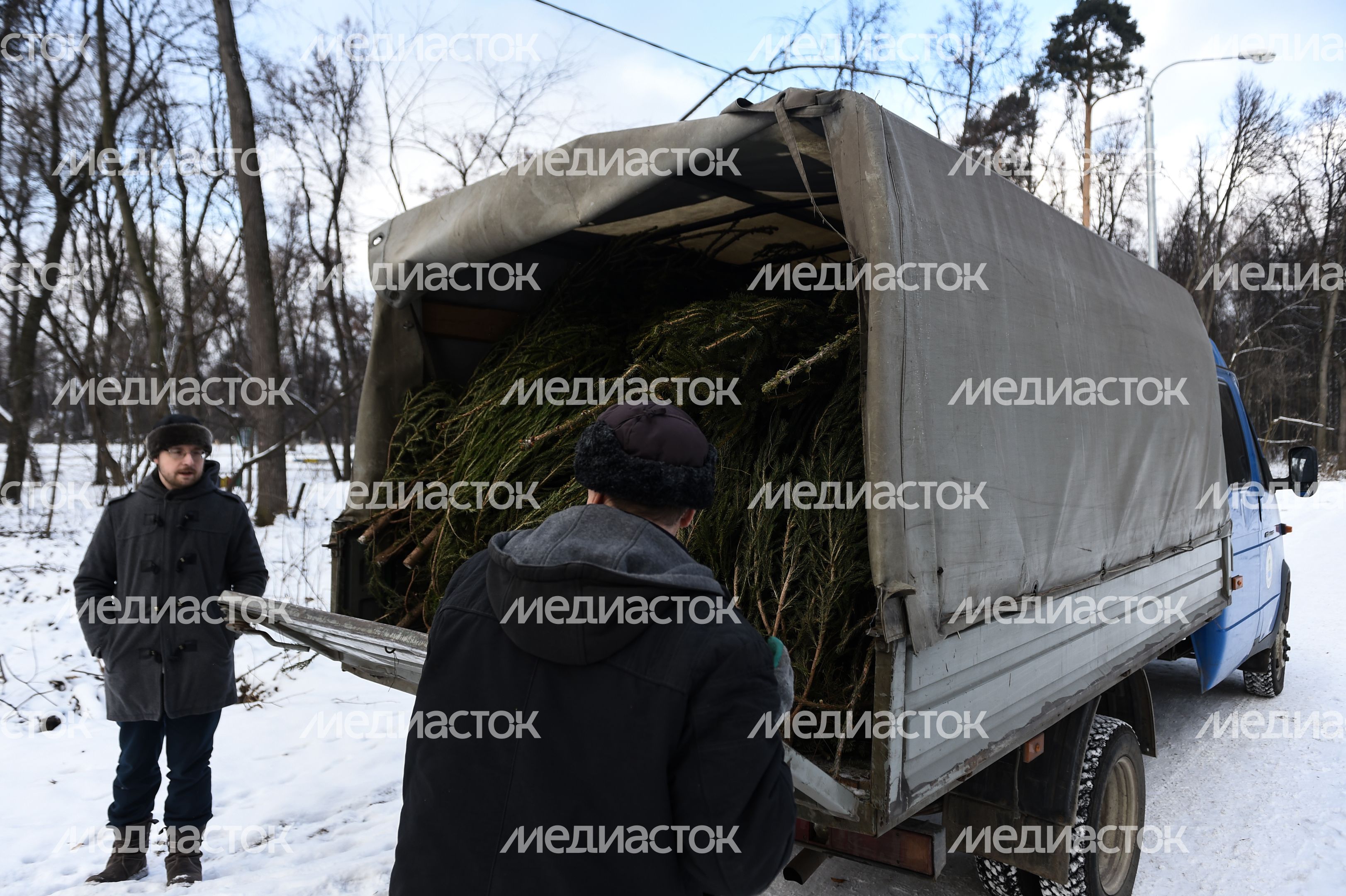 Утилизация елок после Нового года в Москве