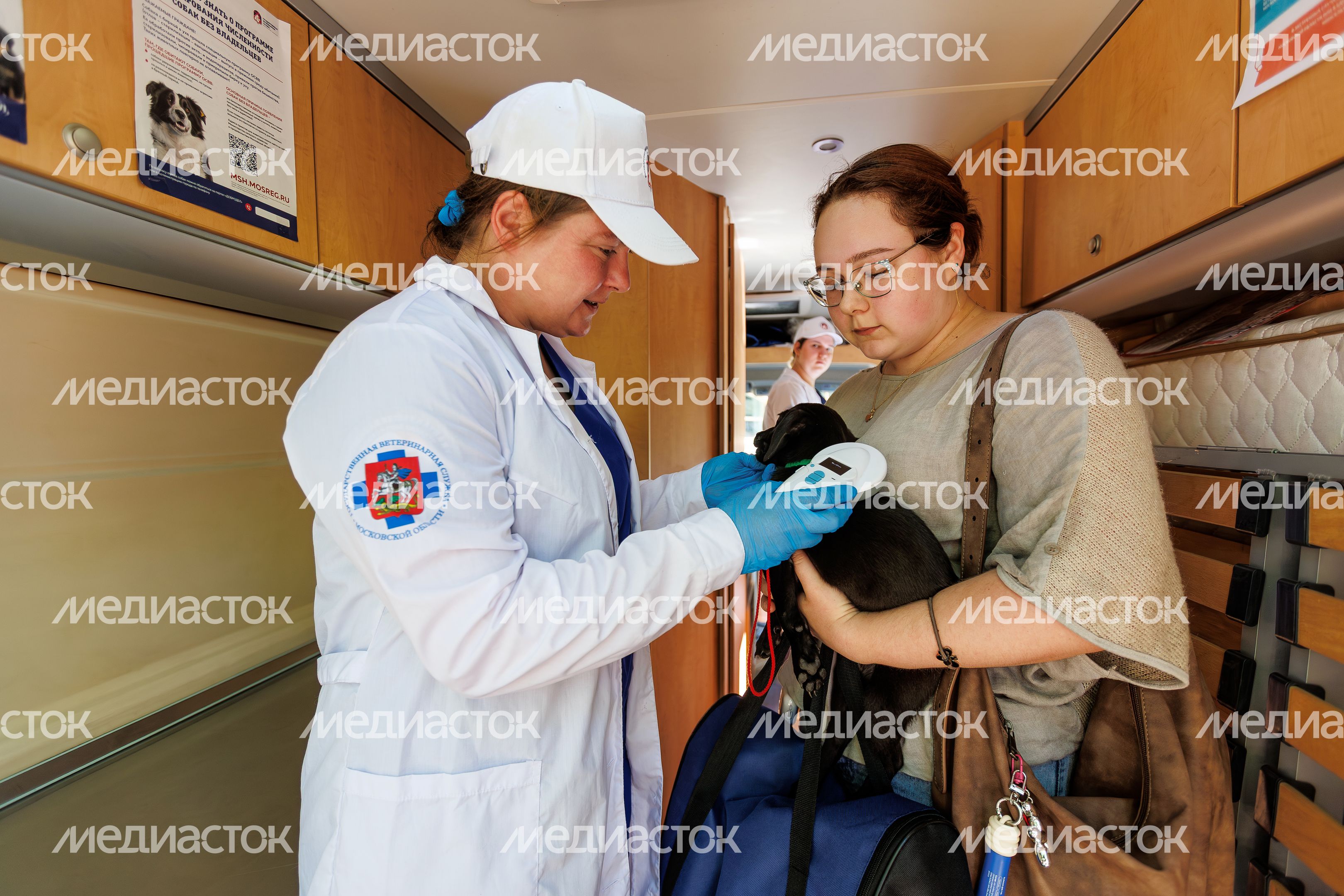 Выездная вакцинация, регистрация и чипирование домашних животных в Звенигородском парке Одинцовского округа Выездная вакцинация, регистрация и чипирование домашних животных в Звенигородском парке Одинцовского округа