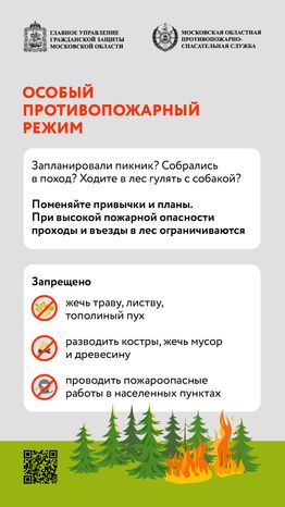 Особый противопожарный режим вертикаль (3)