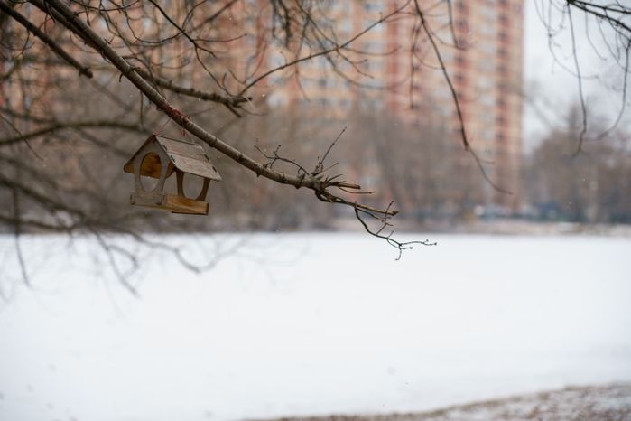 Люберцы. Наташинский парк