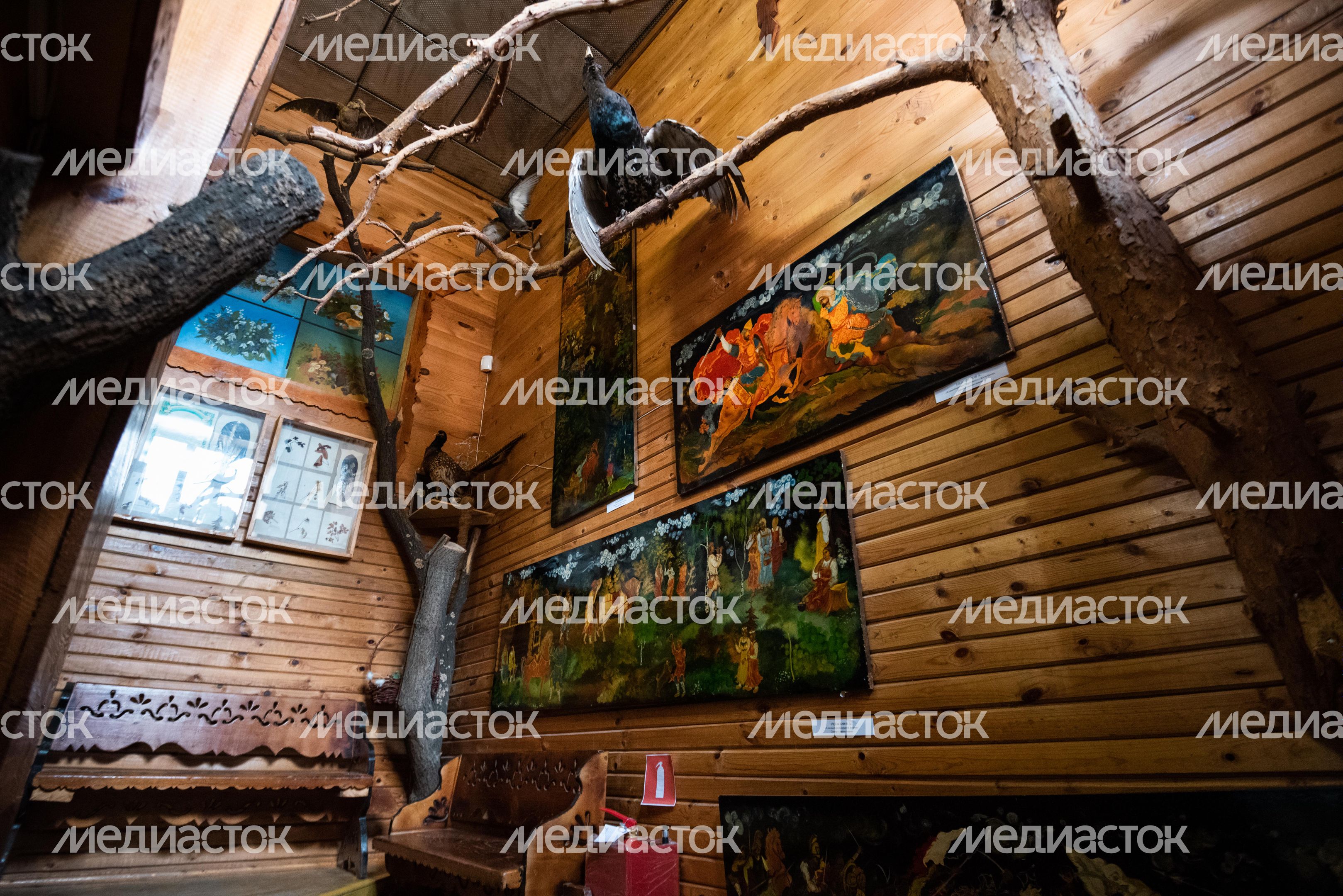 Виды города Луховицы