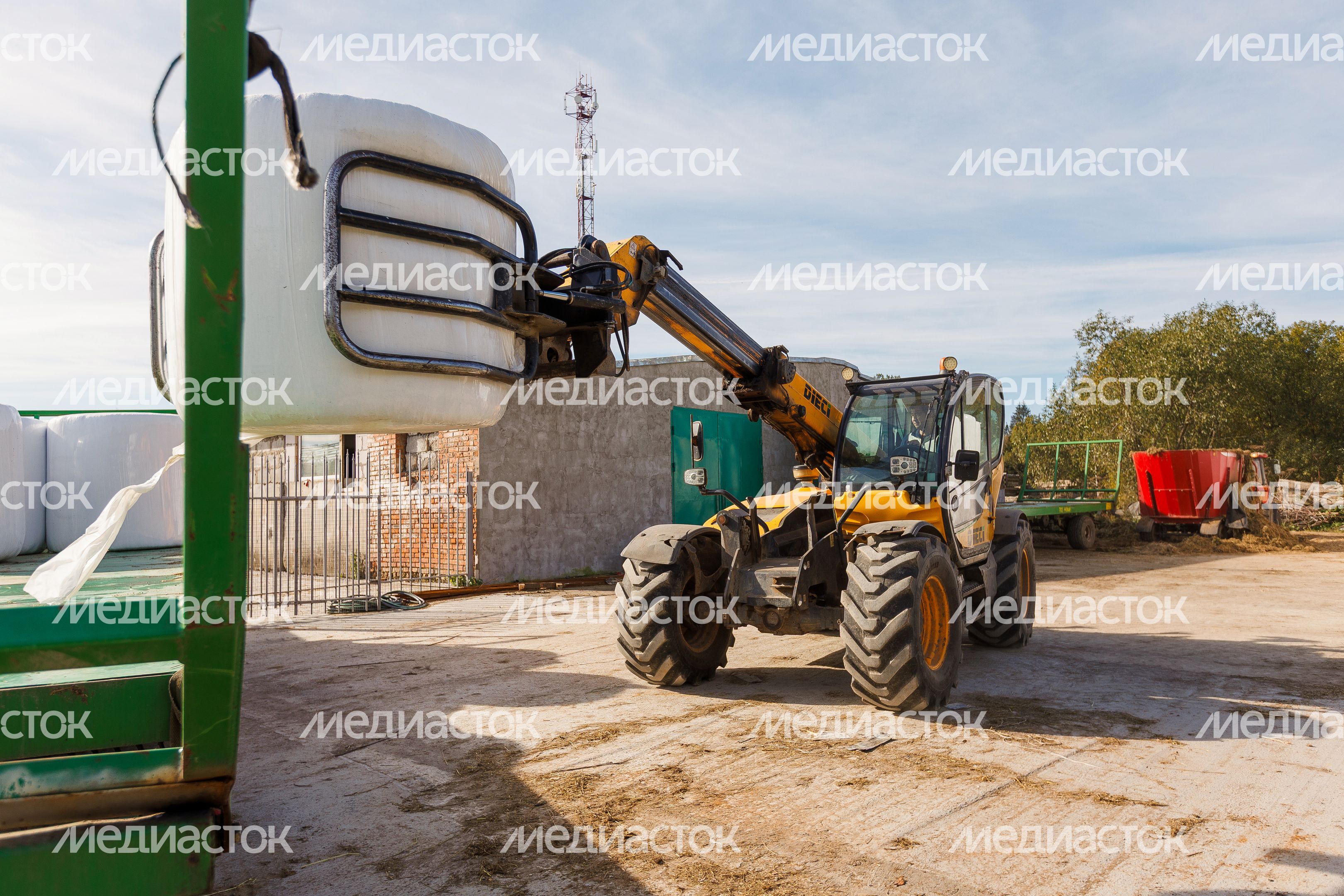 Заготовка кормов на полях фермы С.Н. Ляшенко в деревне Данилово Пушкинского округа Заготовка кормов на полях фермы С.Н. Ляшенко в деревне Данилово Пушкинского округа