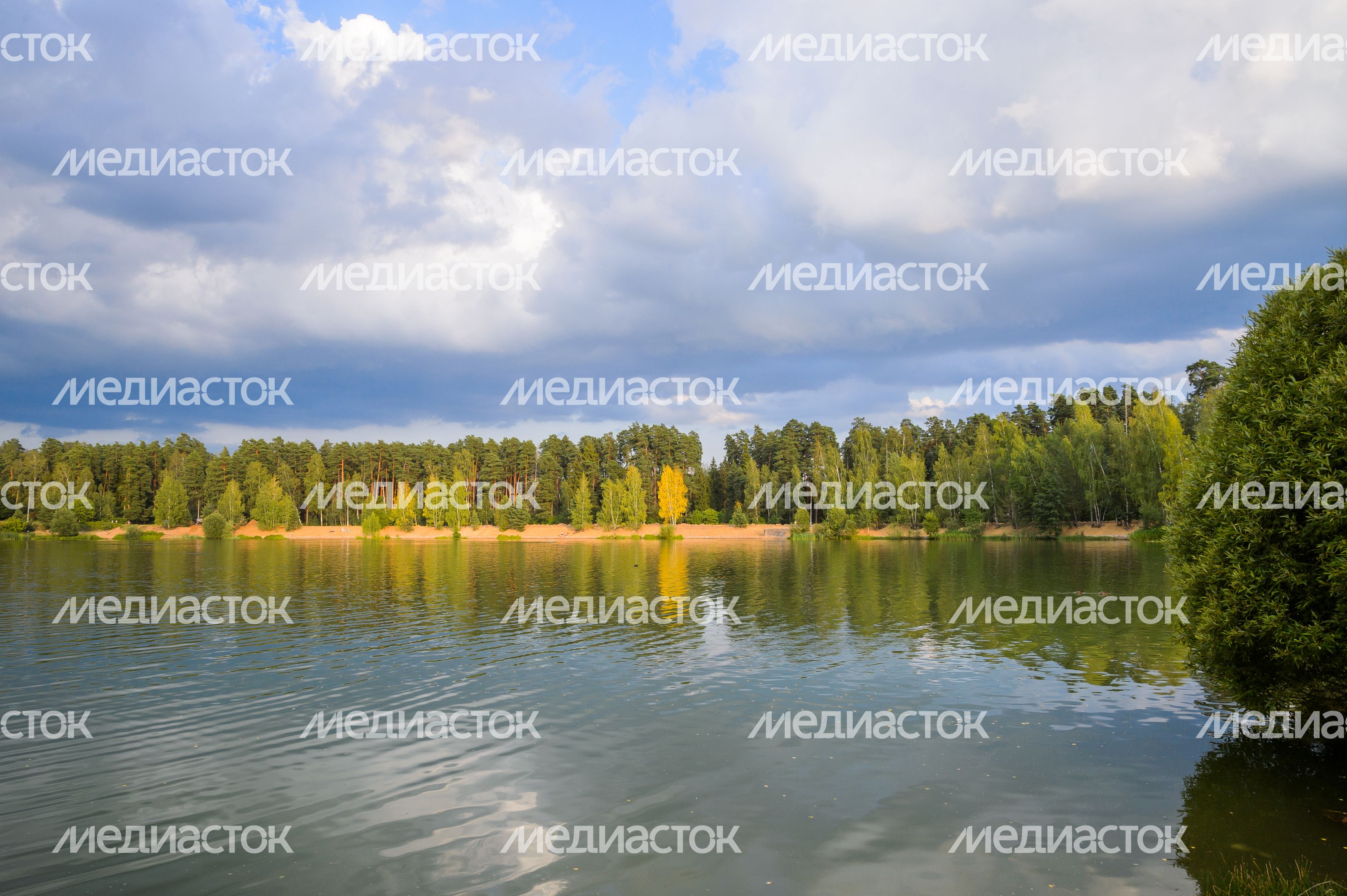 Черноголовка. Озеро Южное