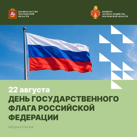 День Государственного флага Российской Федерации квадрат 01
