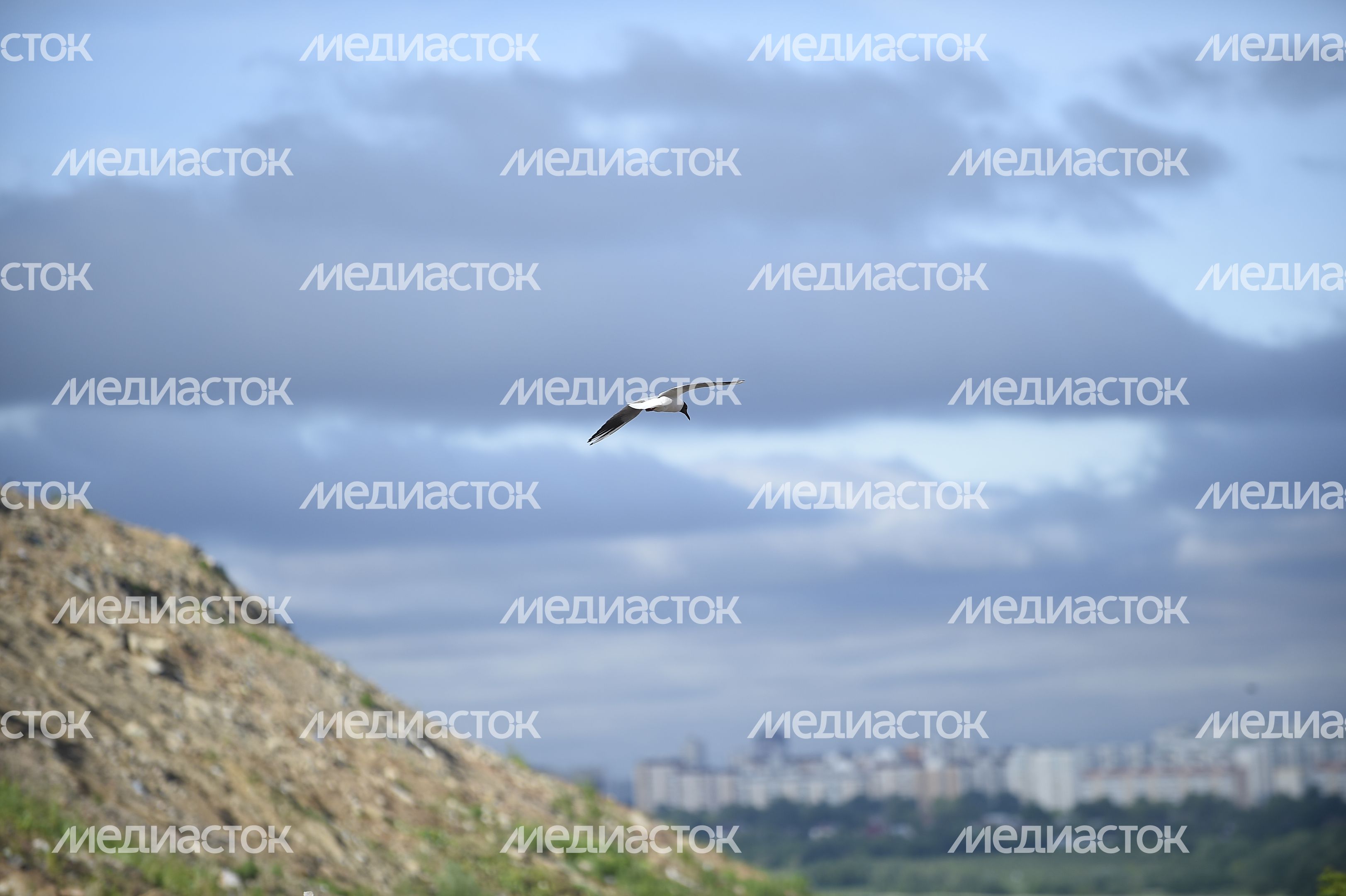 Закрытие Кучинского Полигона ТБО