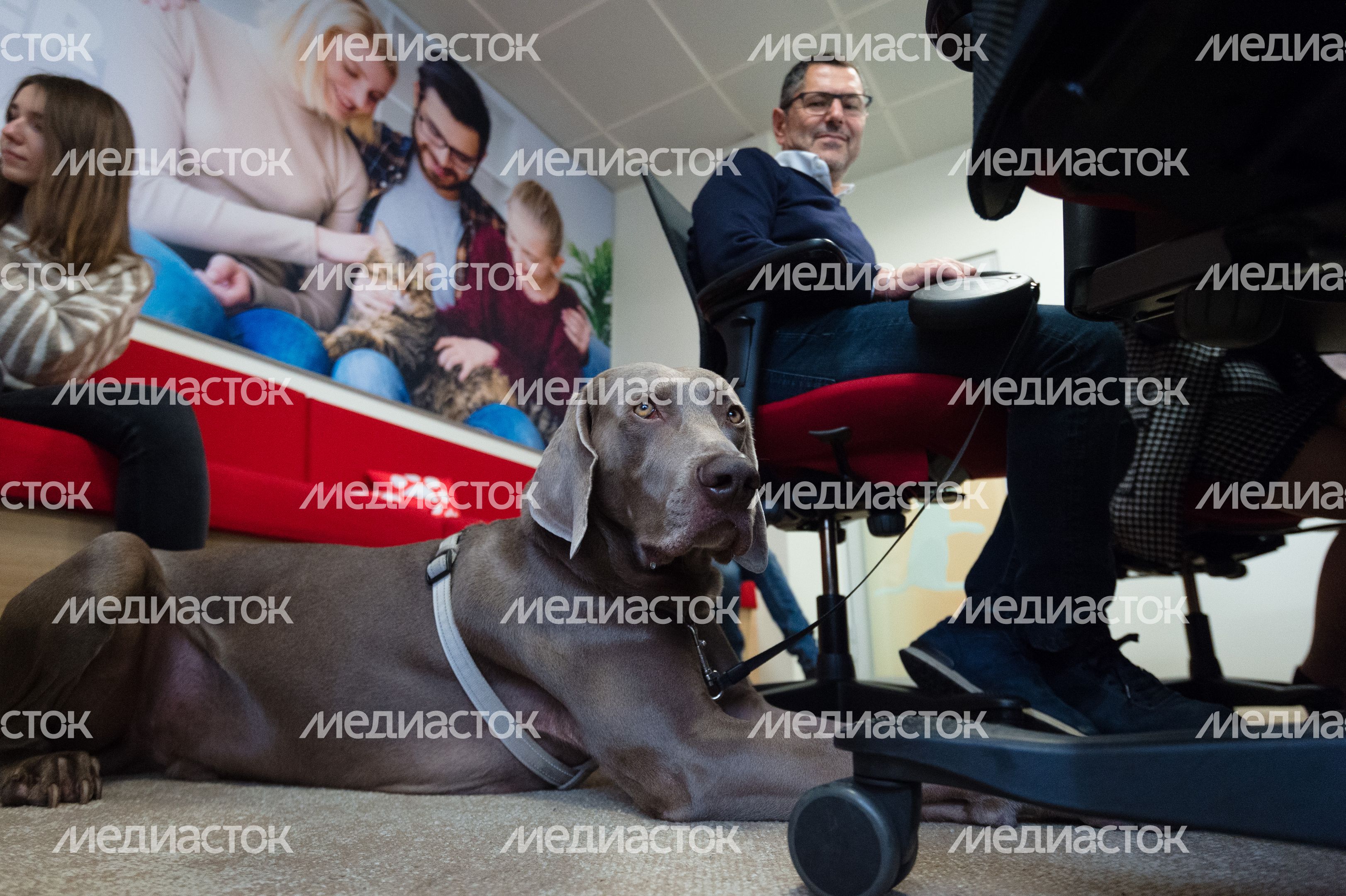 Pet‑friendly офис Purina