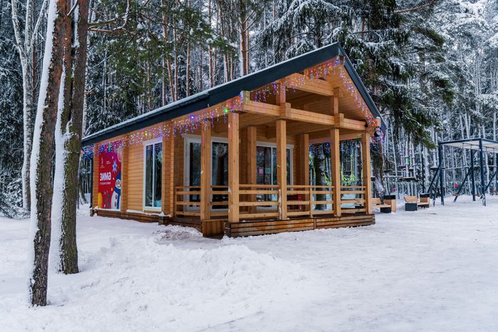 Лесопарк «Талицкий лес» зимой в Клину