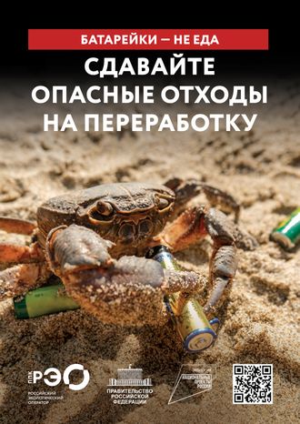 Seria 9 animal poster _A2_6