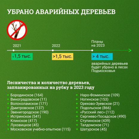 Аварийные деревья