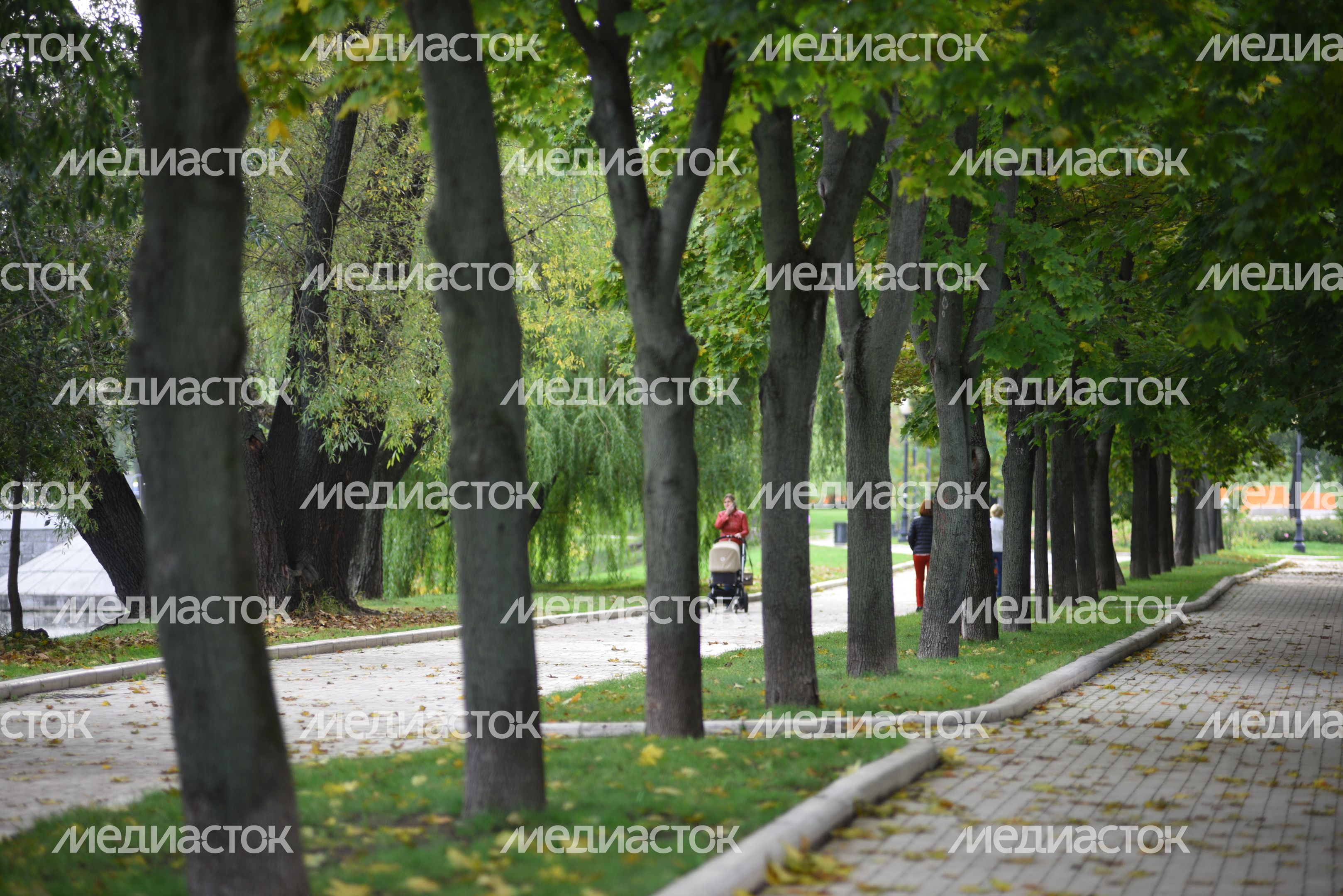 Парк Новодевичьи пруды в Москве