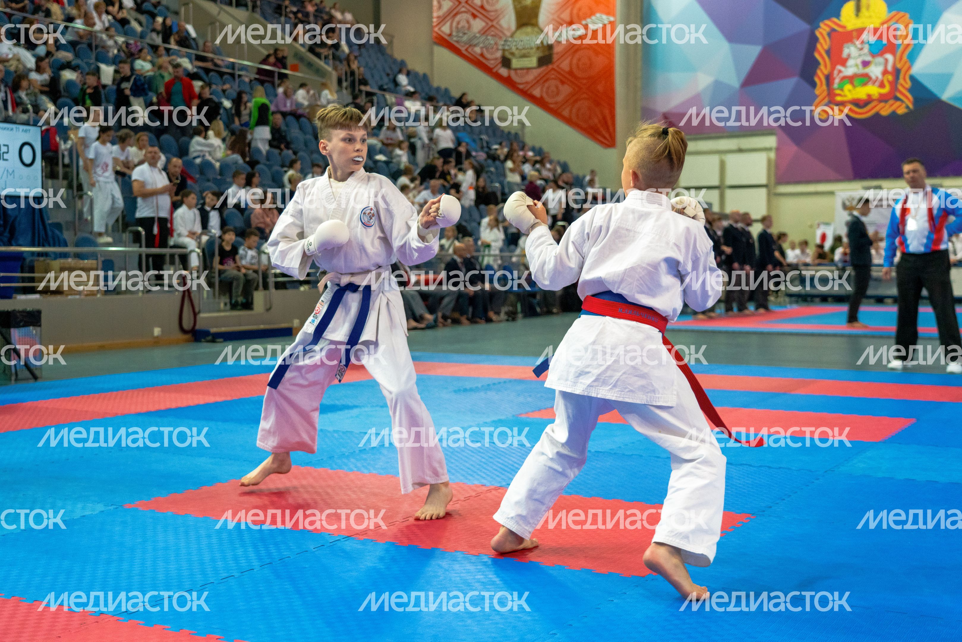 Чемпионат и Первенство России по восточному боевому единоборству сетокан в городе Видное Ленинского округа Чемпионат и Первенство России по восточному боевому единоборству сетокан в городе Видное Ленинского округа