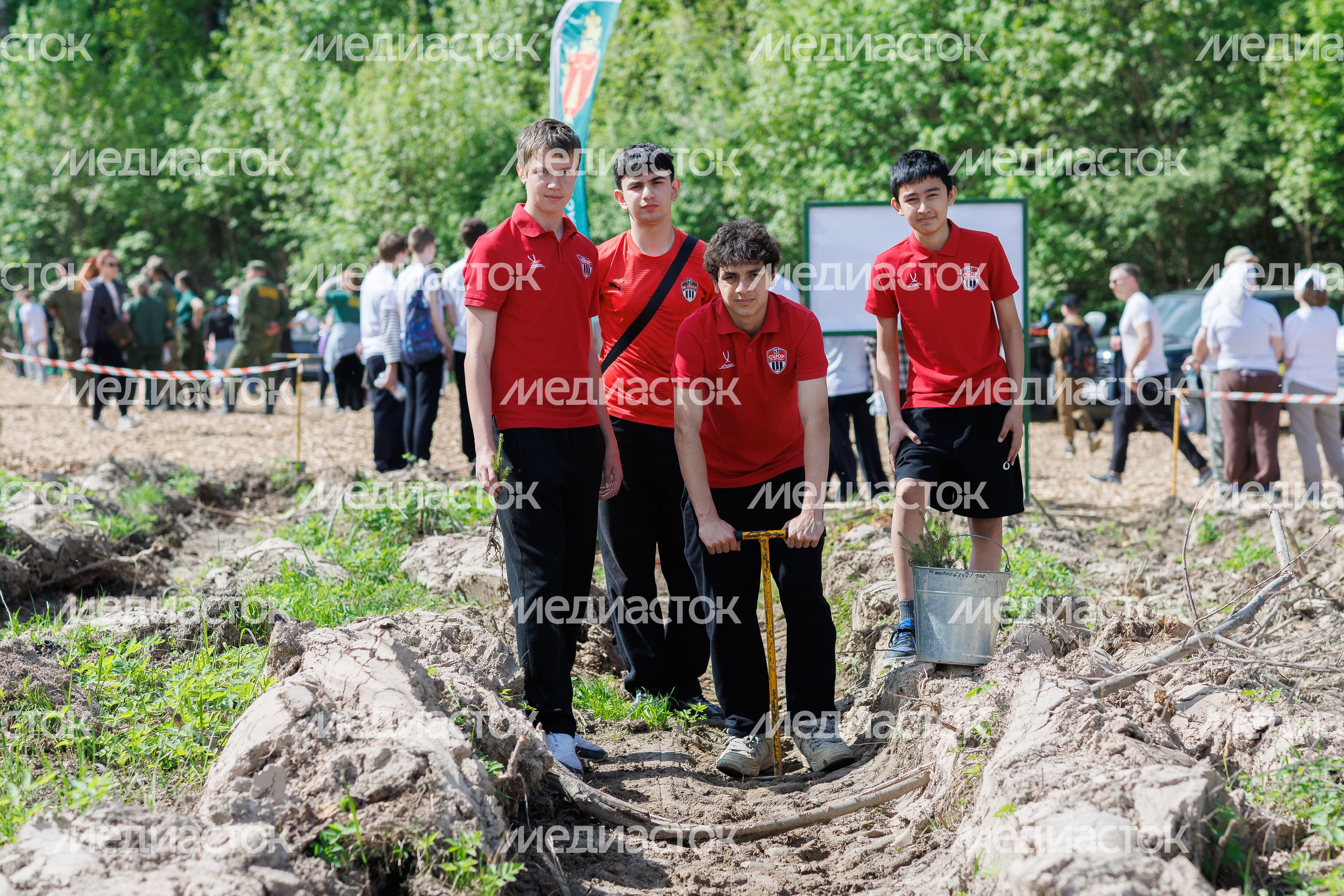Сад Памяти в Подмосковье-2026: акция по посадке деревьев в Химках
