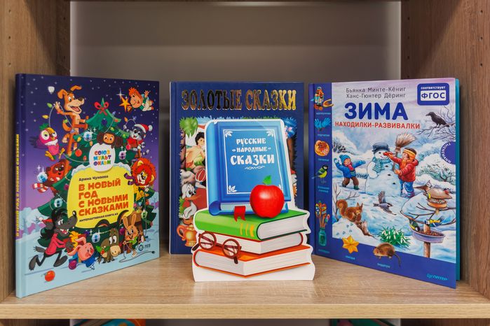 Книги на полке в игровой комнате нового детского сада «Мандаринка» в Щелково-7