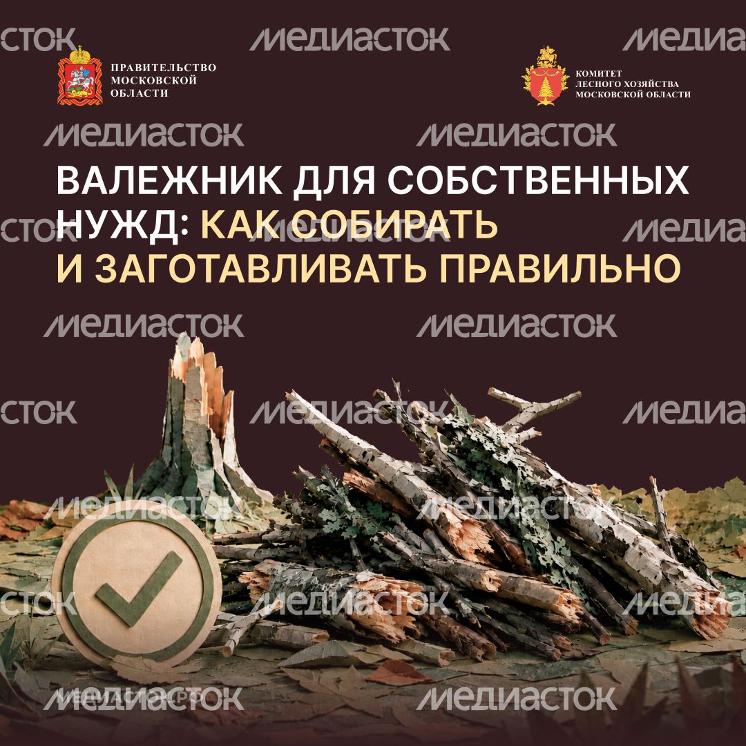 Валежник для собственных нужд квадрат 01 Валежник для собственных нужд квадрат 01