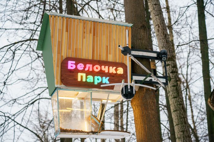 Раменский городской парк культуры и отдыха зимой