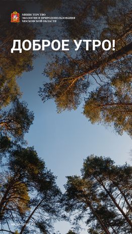 Доброе утро вертикаль 05