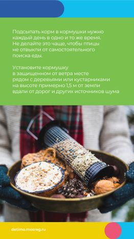 Синичкин_день_вертикаль_08.jpg