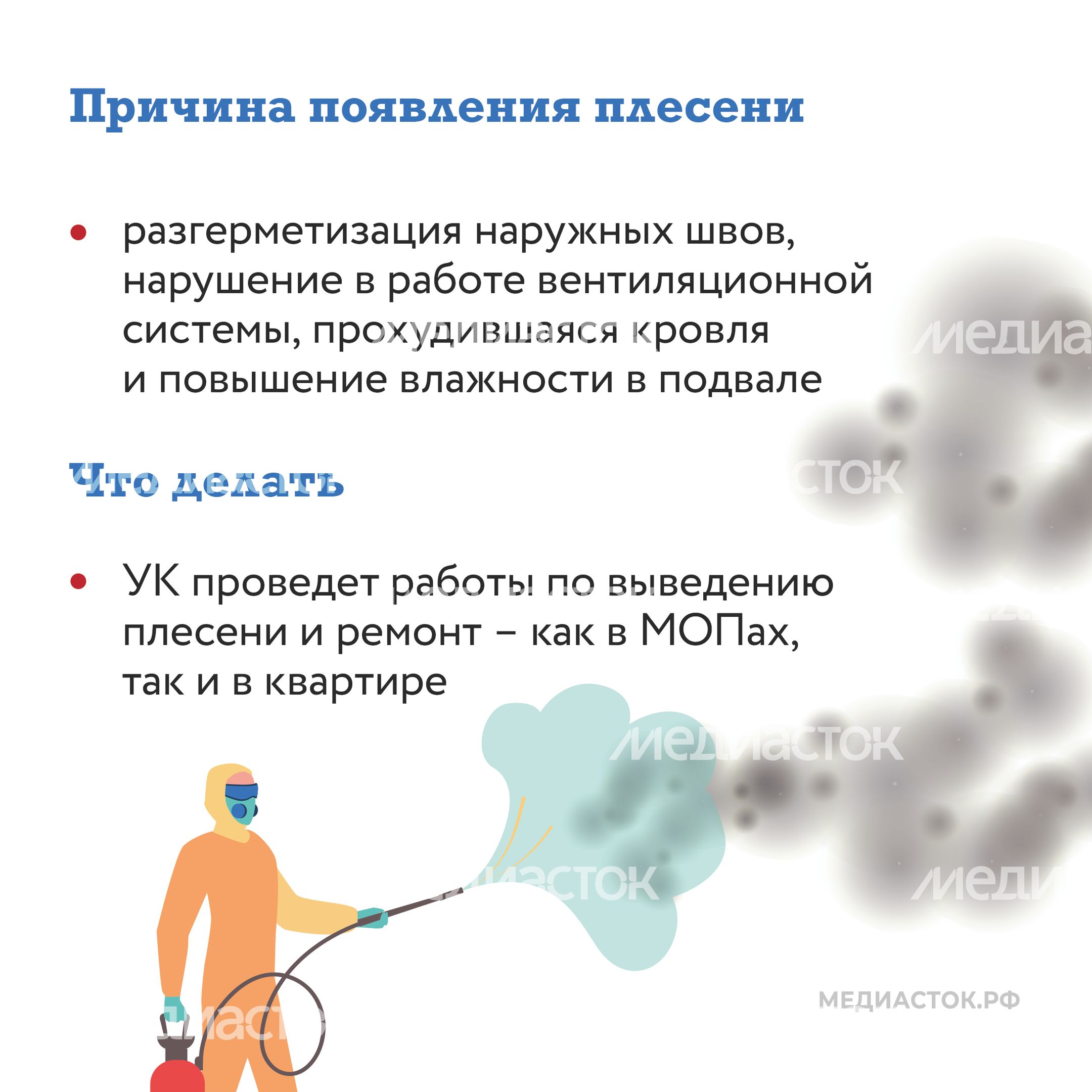 Плесень квадрат 03