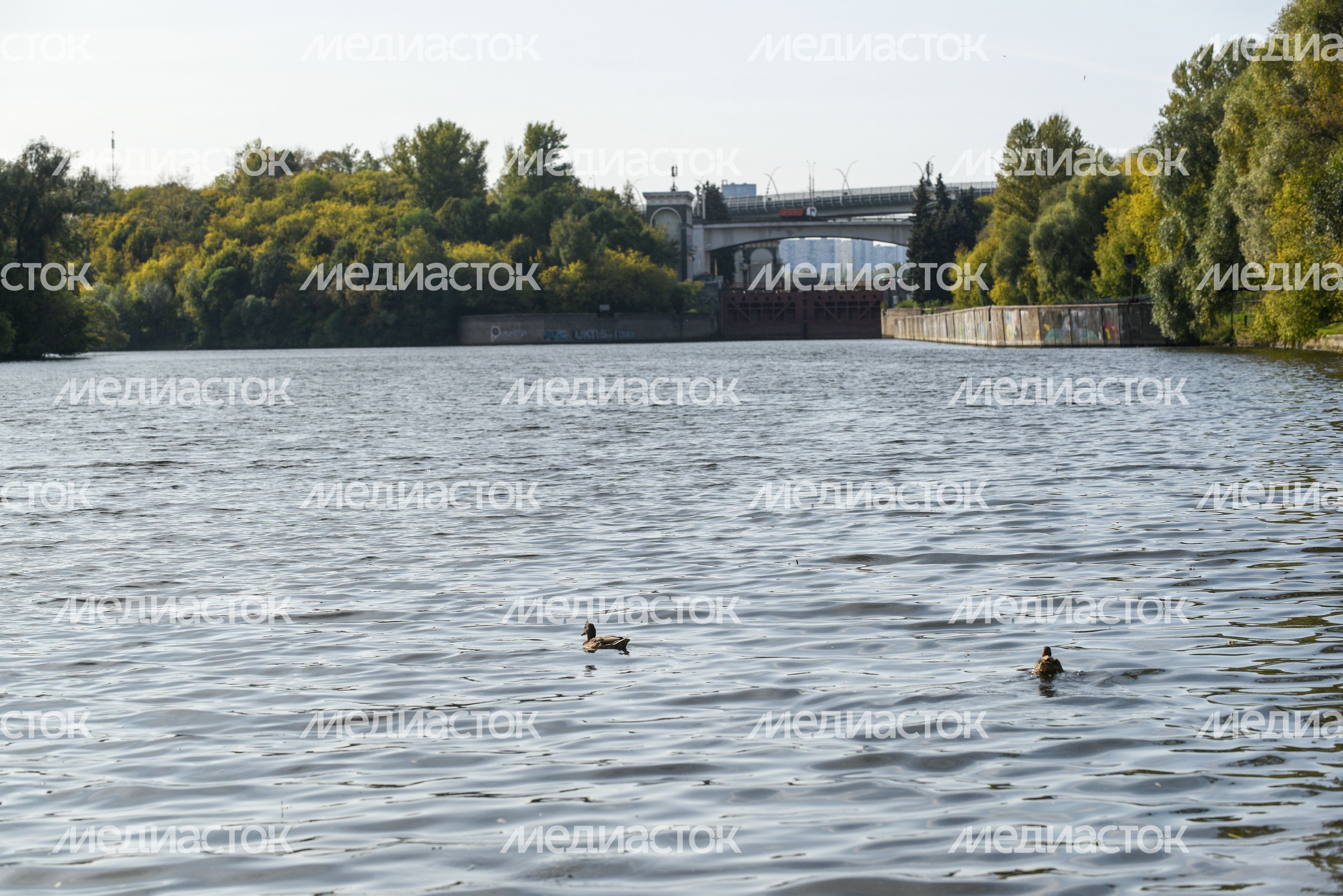 Повседневная жизнь в Хорошево‑Мневники Повседневная жизнь в Хорошево‑Мневники