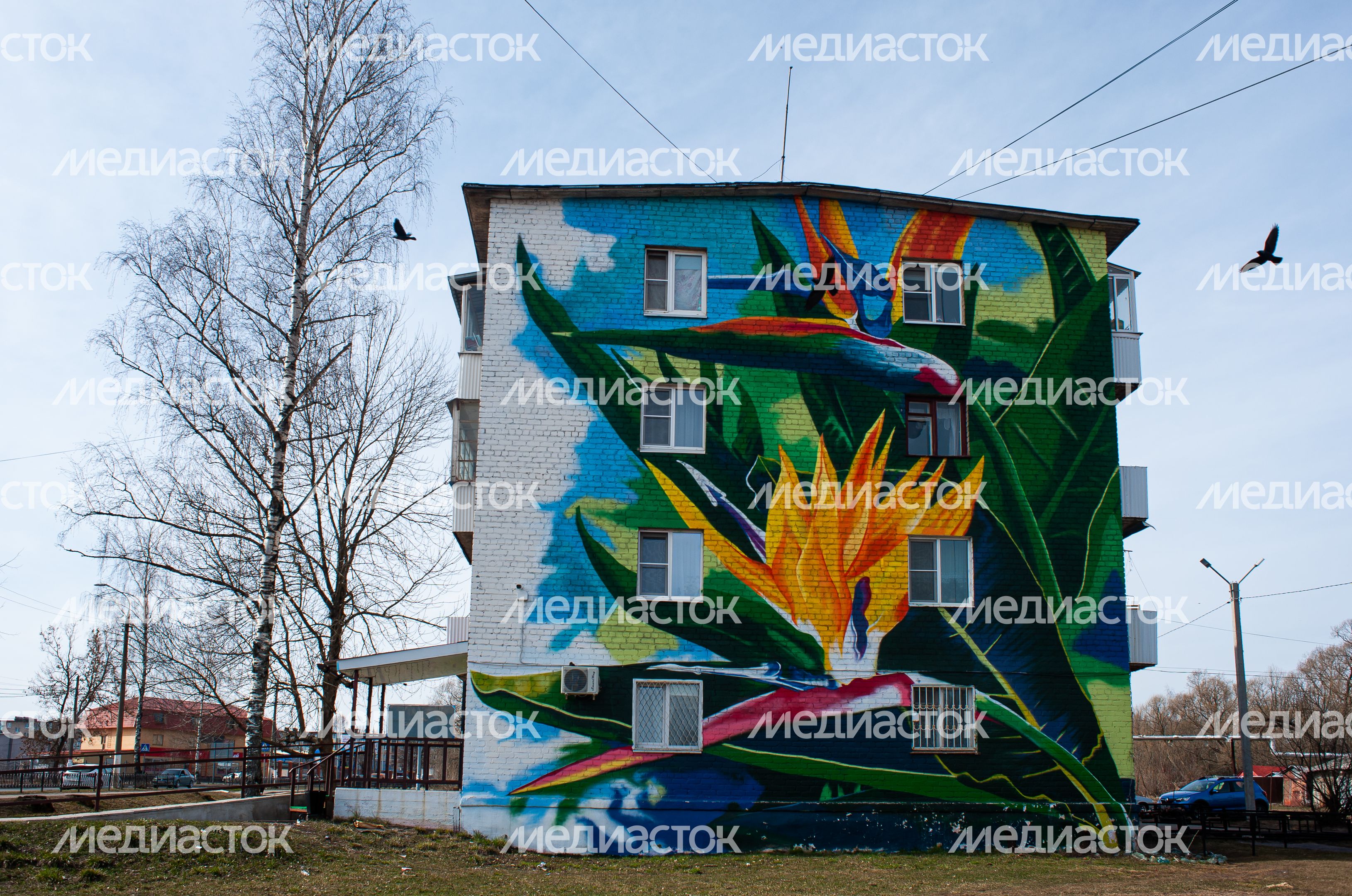 Виды города Рошаль