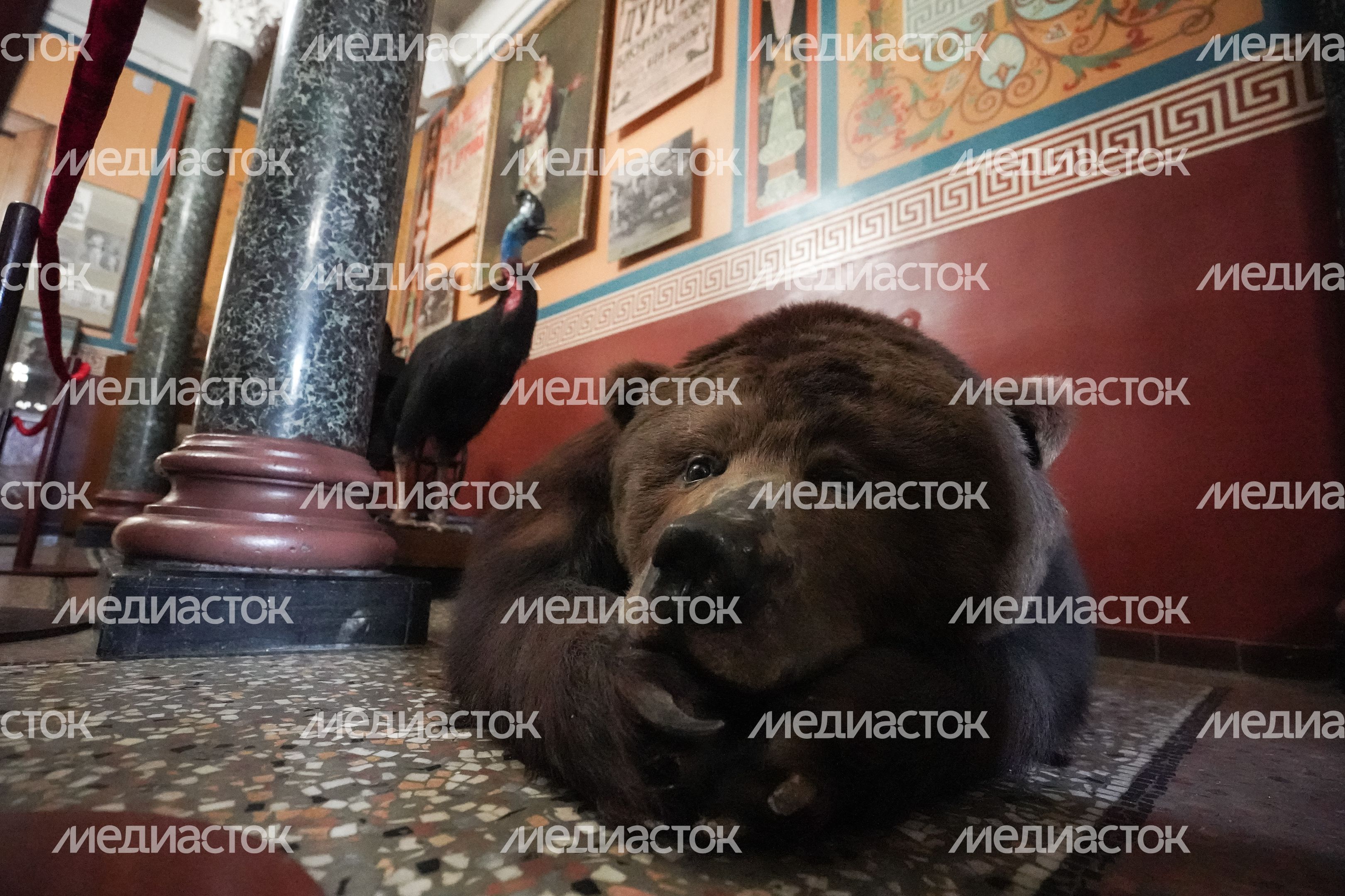 Театр «Уголок дедушки Дурова»